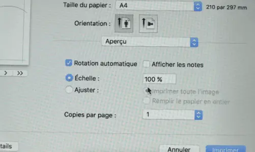 L'impression du patron PDF doit être à une échelle à 100% pour être correcte.