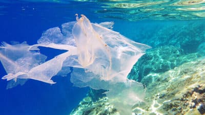Un magnifique morceau de plastique flottant dans l'océan.