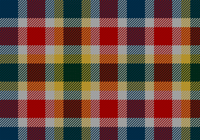 The tartan pattern created with the simulator