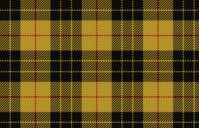 Le motif tartan utilisé par la famille McLeod.