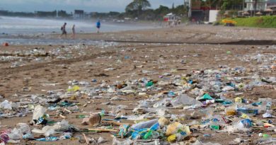 Plage polluée par nos déchets