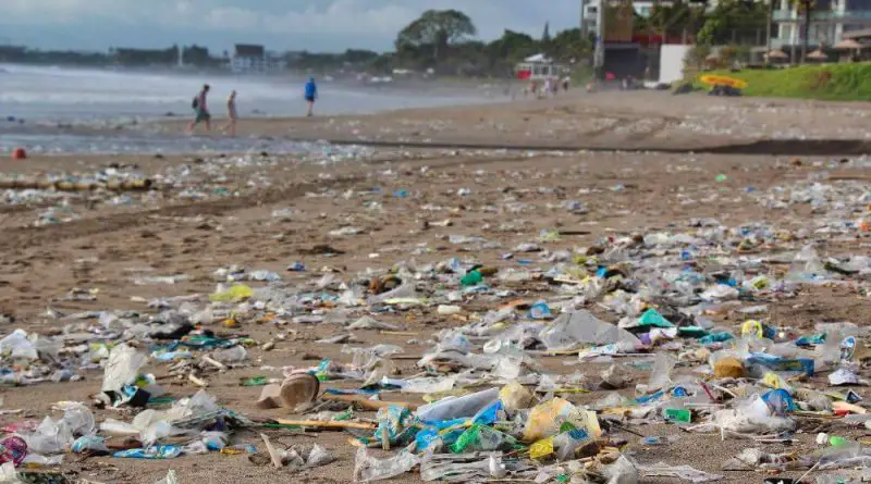 Plage polluée par nos déchets