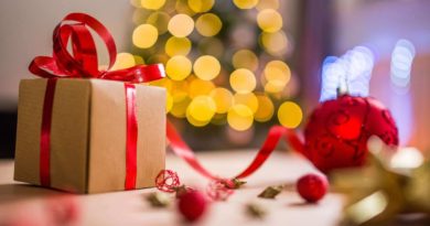 10 idées couture de cadeaux de Noël