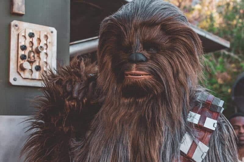 Coudre un chewbacca à partir un sweat avec un tissu à poils !