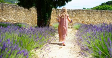 Des robes faciles à coudre pour l'été