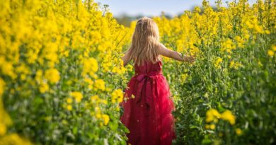 Quels patrons coudre pour l'arrivée du printemps ?