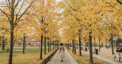 Se coudre une veste pour l'automne