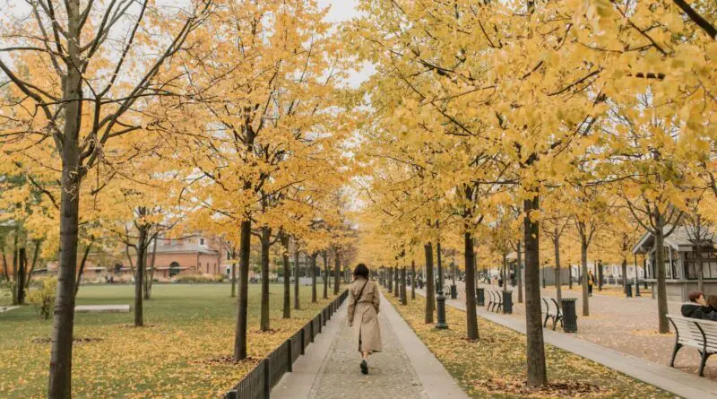 Se coudre une veste pour l'automne