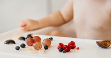 Comment coudre une dînette en tissu pour bébé et enfant ?