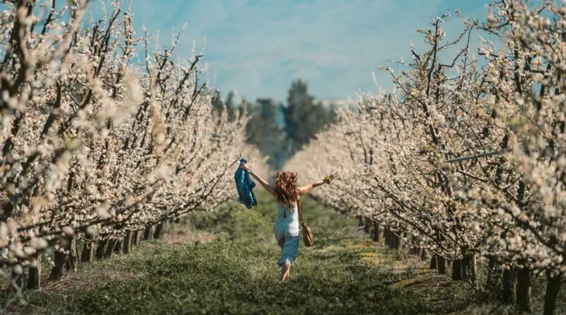 Comment coudre une veste pour le printemps ?